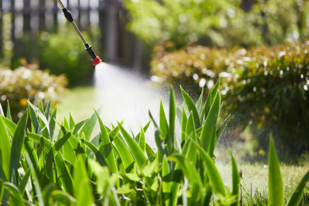 Tamper-Resistant Bait Stations for Rodents in Westbury