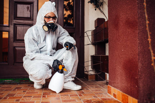 Attic and Crawl Space Rodent Treatment in Westbury
